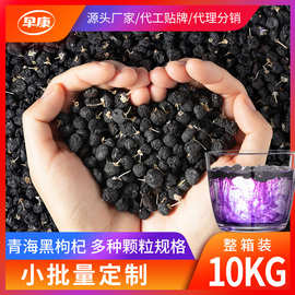 宁夏黑枸杞 珍稀食用农产品的营养与价值