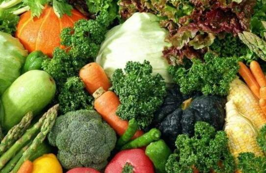 全速通国际贸易 依托中国农产品交易网，打造食用农产品电子商务新格局